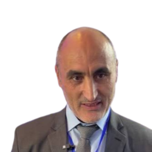 Taoufik Borgi
